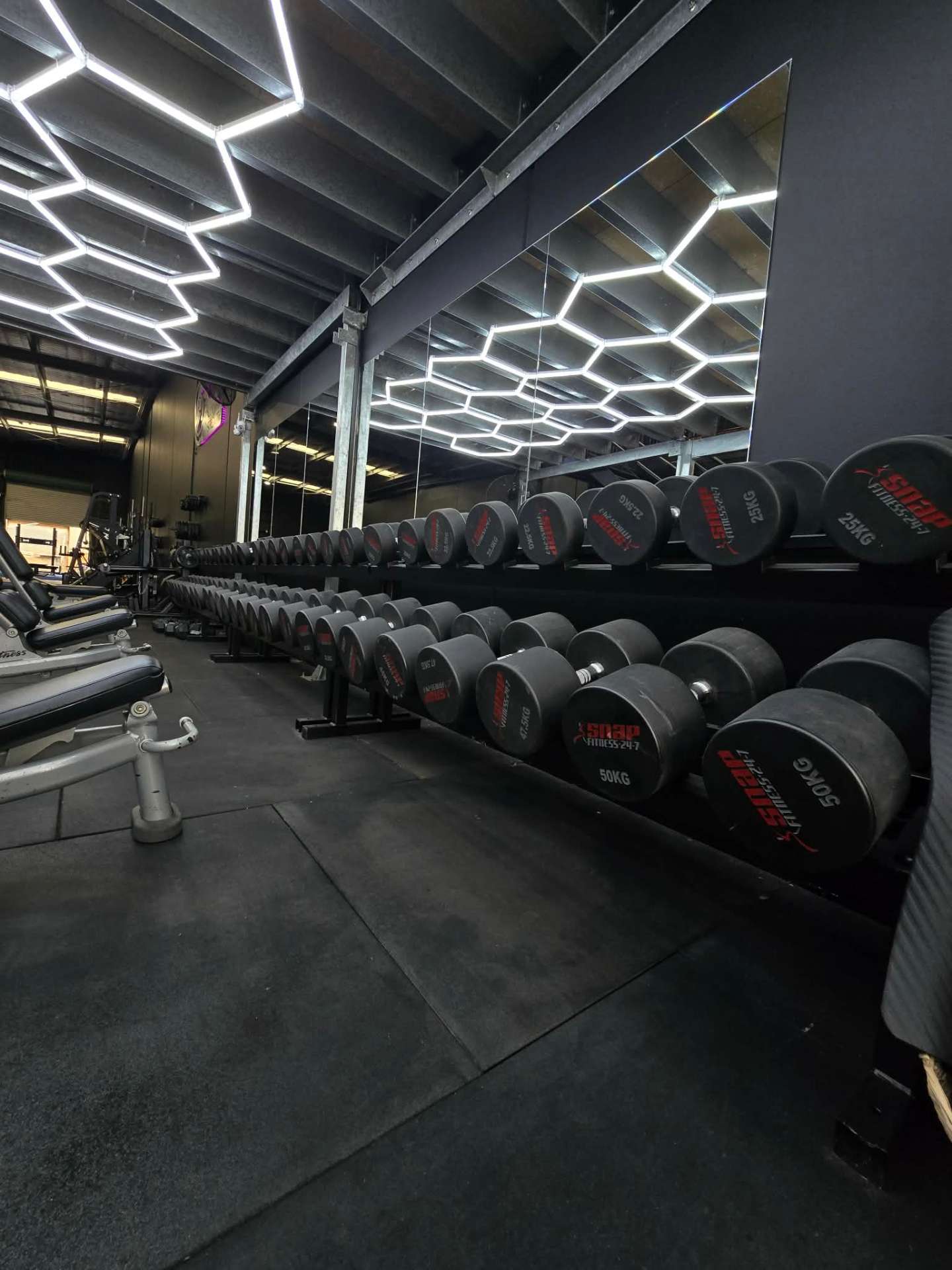 Dumbbell rack under hex lighting at Stallion Strength